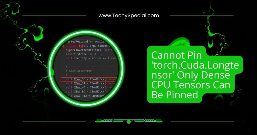 Cannot Pin 'torch.Cuda.Longtensor' Only Dense CPU Tensors Can Be Pinned