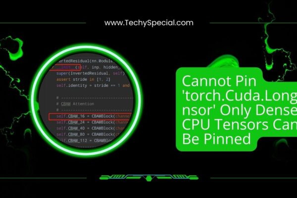 Cannot Pin 'torch.Cuda.Longtensor' Only Dense CPU Tensors Can Be Pinned